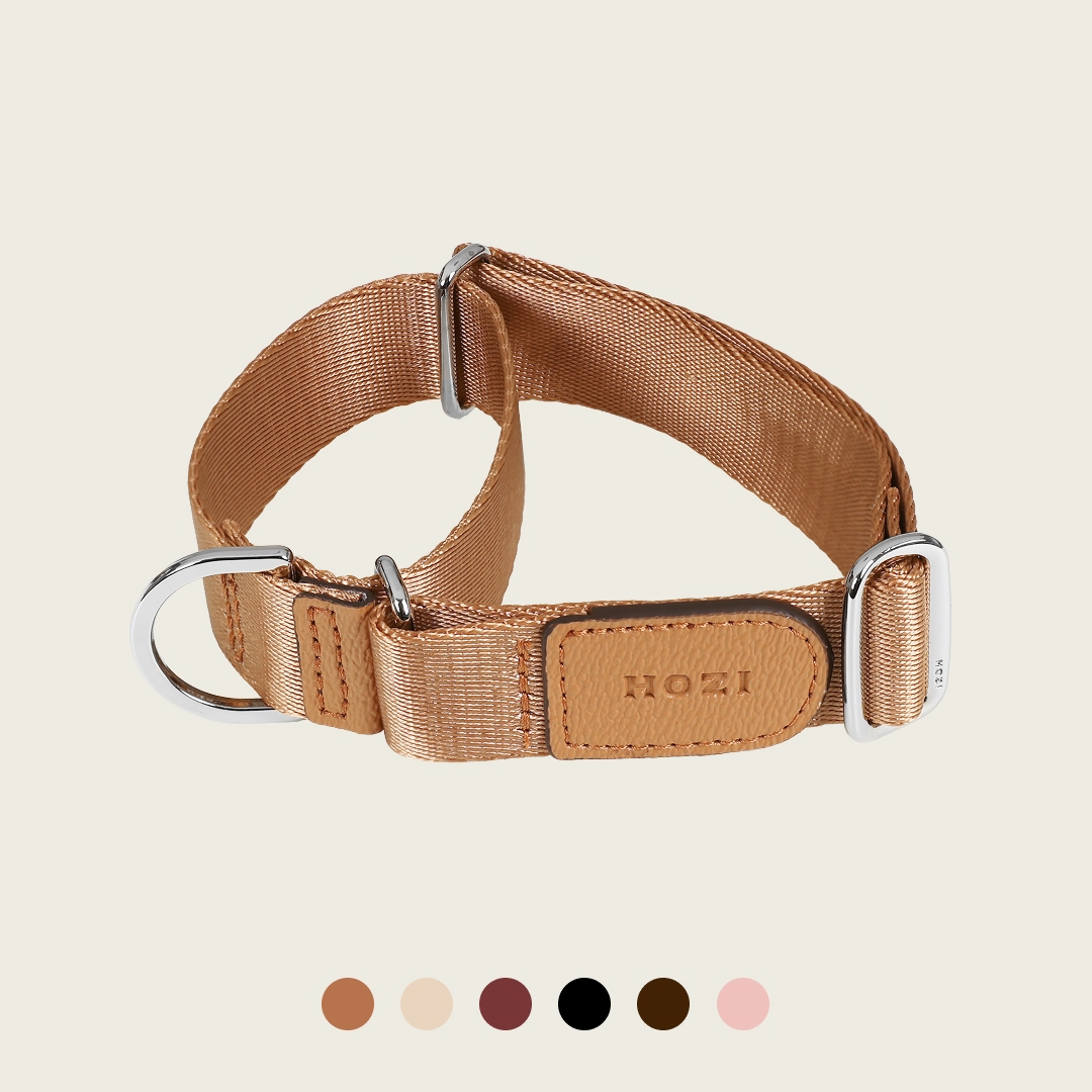호지 마틴게일 저자극 반초크 강아지목줄 칼라 반려견 반려동물 초크 소형견 중형견 대형견 제품 이미지