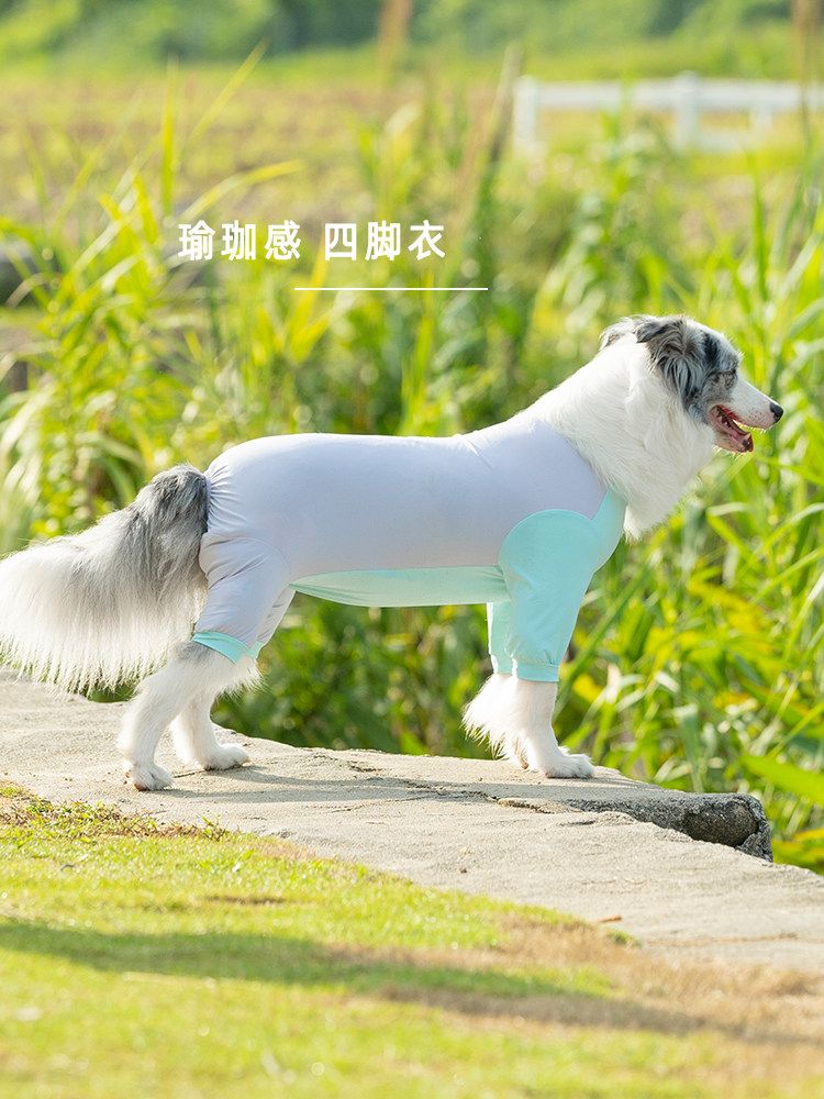 여름옷 쿨링티 강아지옷 시원한 반려견 올인원 햇볕 차단 대형견 티셔츠 - 상세 이미지 2