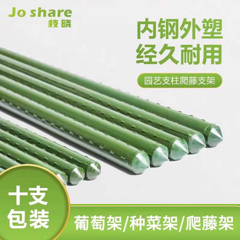 포도나무 넝쿨 지지대 재배 채소 용 강낭콩 하우스 받침대 8mm 75cm - 상세 이미지 2