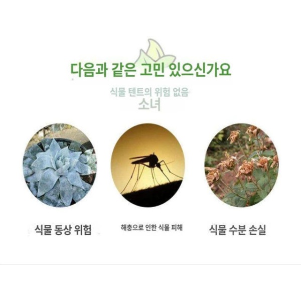 프리미엄 암막 온실 텐트 생장 재배기 재배용 온실장 암실 40 x 40x120 40 x 40x120 - 상세 이미지 3