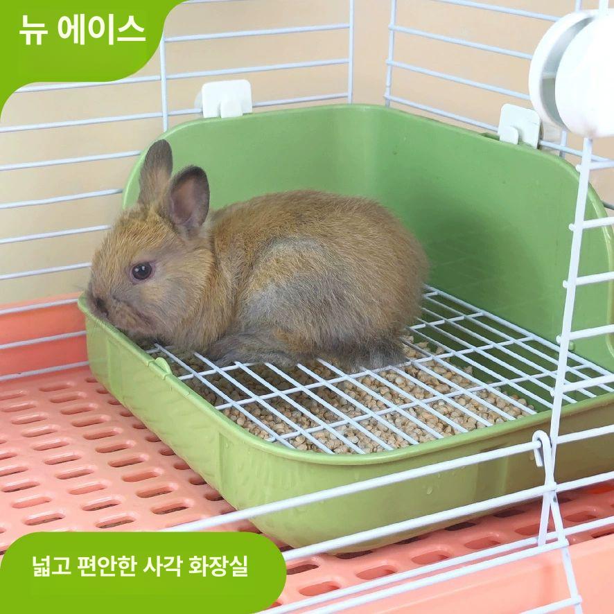 토끼 배변판 플라스틱 사각 토레이 거름망 트레이 소동물 화이트 29cmx23cmx16cm 대형 - 상세 이미지 3