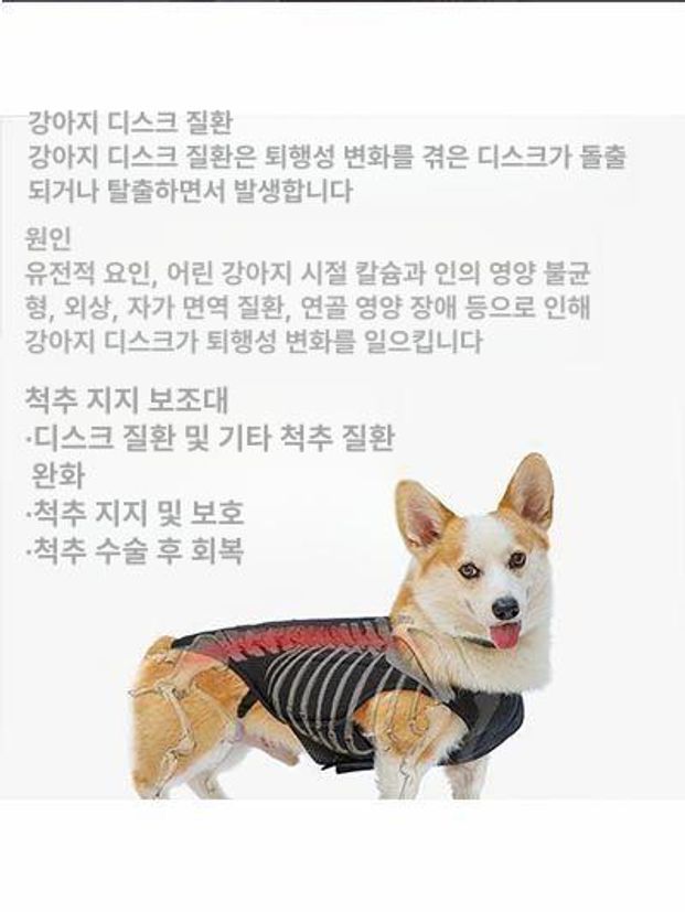 강아지 허리보호대 노견 벨트 대형견 보행기 블랙 척추 보조기 조끼 지지대 디스크 뒷다리 - 상세 이미지 5