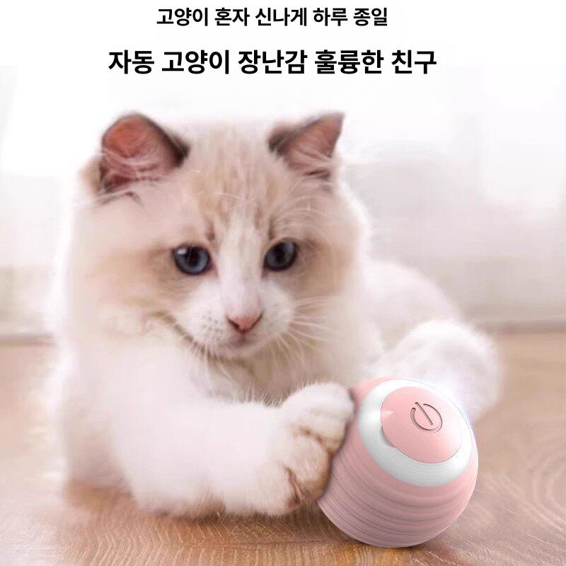 고양이 장난감 자동캣볼 움직이는 캣토이 야광 충전형 자동 물고기 공 - 상세 이미지 4