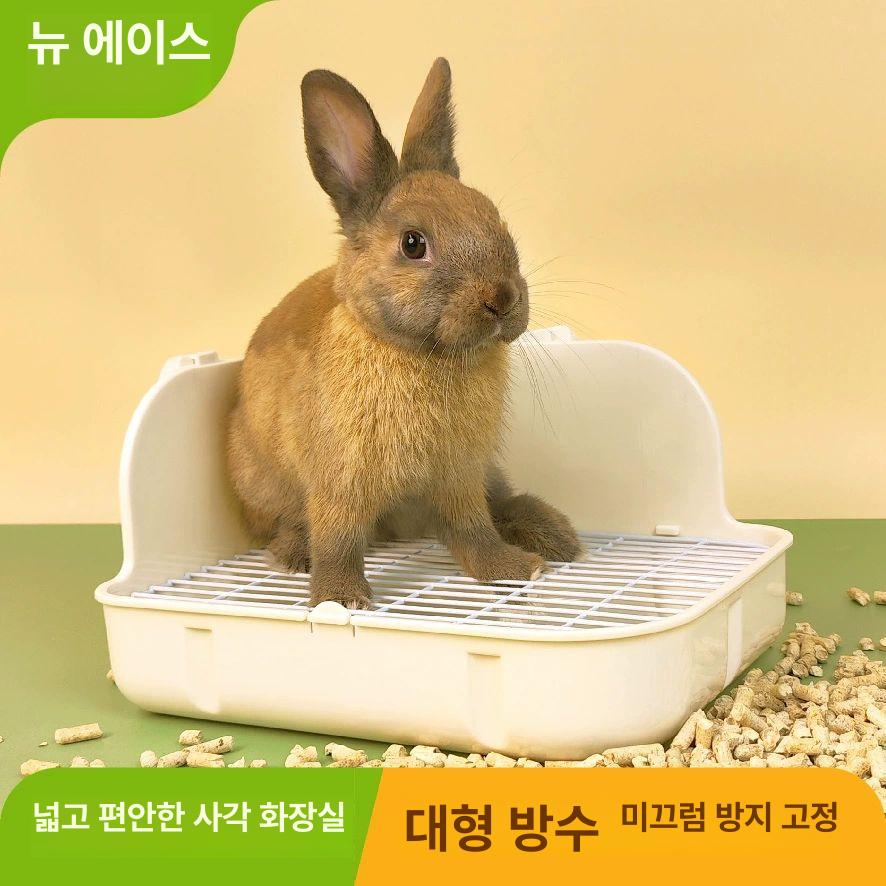 토끼 배변판 플라스틱 사각 토레이 거름망 트레이 소동물 화이트 29cmx23cmx16cm 대형 - 상세 이미지 4