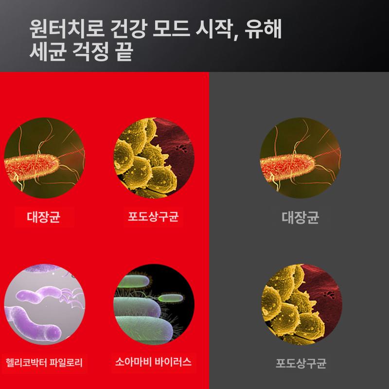 전기 컵소독기 병원 전동 식기 주방 사무실 소형 코트 단일문 2칸 블랙 고온 소독 - 상세 이미지 3