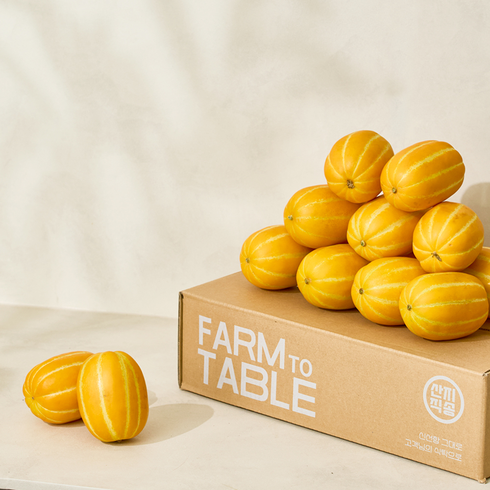 산지직송 고당도 성주 꿀 참외 백화점 납품 최상급 특품 4-9과, 2kg, 1개 - 상세 이미지 2