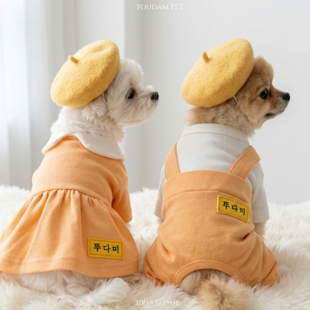 뚜담펫 멍치원복 강아지 국내제작 유치원복  S-XL - 상품 이미지