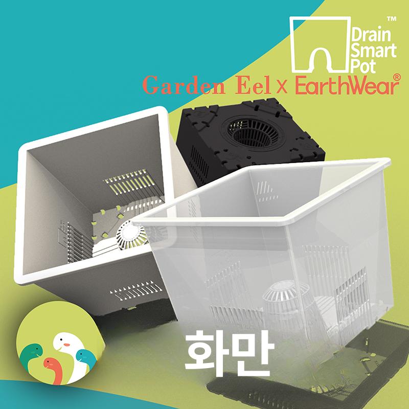 통기성 다육 식물용 베란다 선인장 재배용 다육이 아가베 S12 모닝 미스트 온실 화분 10개 플라스틱 트레이 없음 - 상세 이미지 2