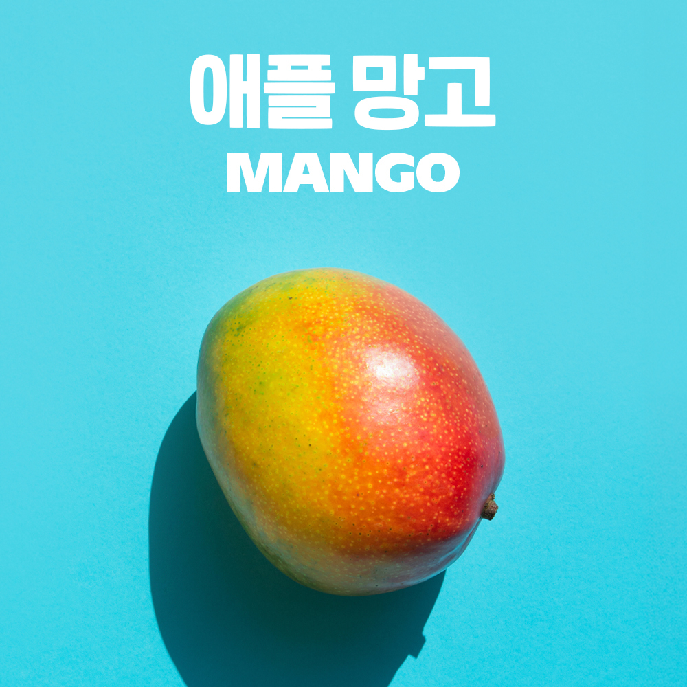항공직송 프리미엄 고당도 페루 브라질 애플망고 4-6과, 2kg, 1개 - 상품 이미지