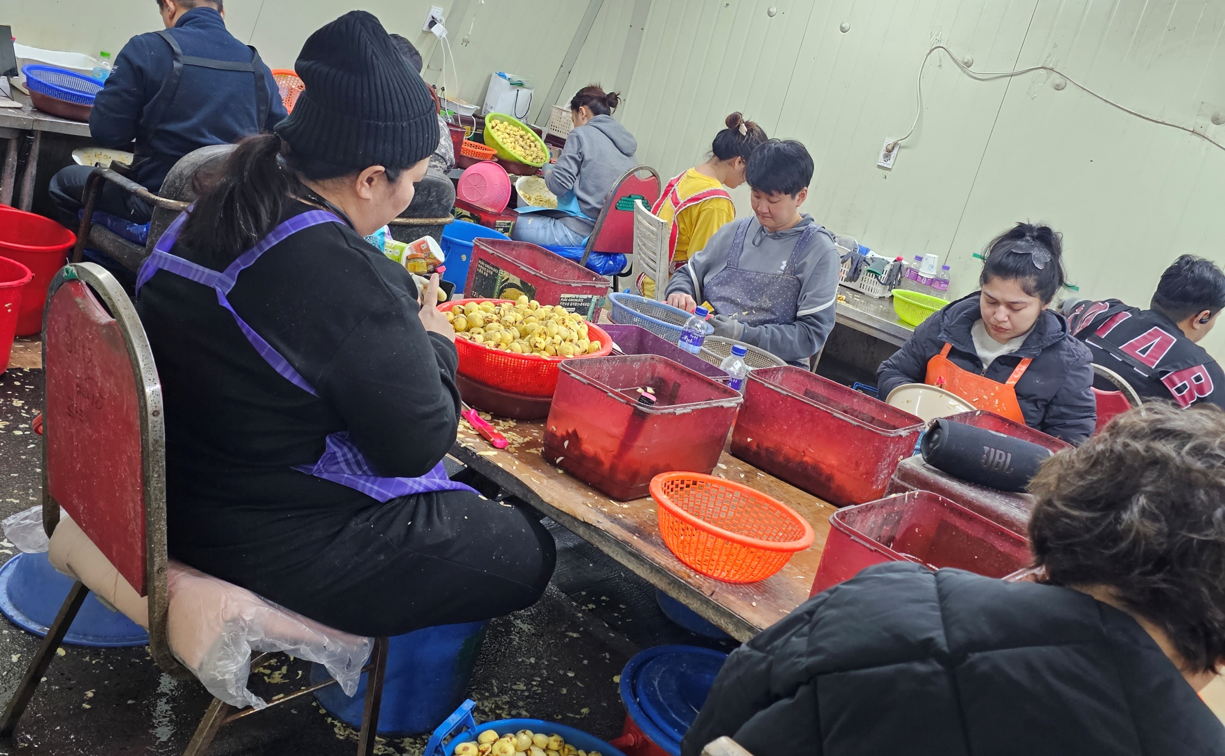 부여 깐밤 친환경 깐밤 깐밤 구매가이드 부여 밤 추천 친환경 밤 후기