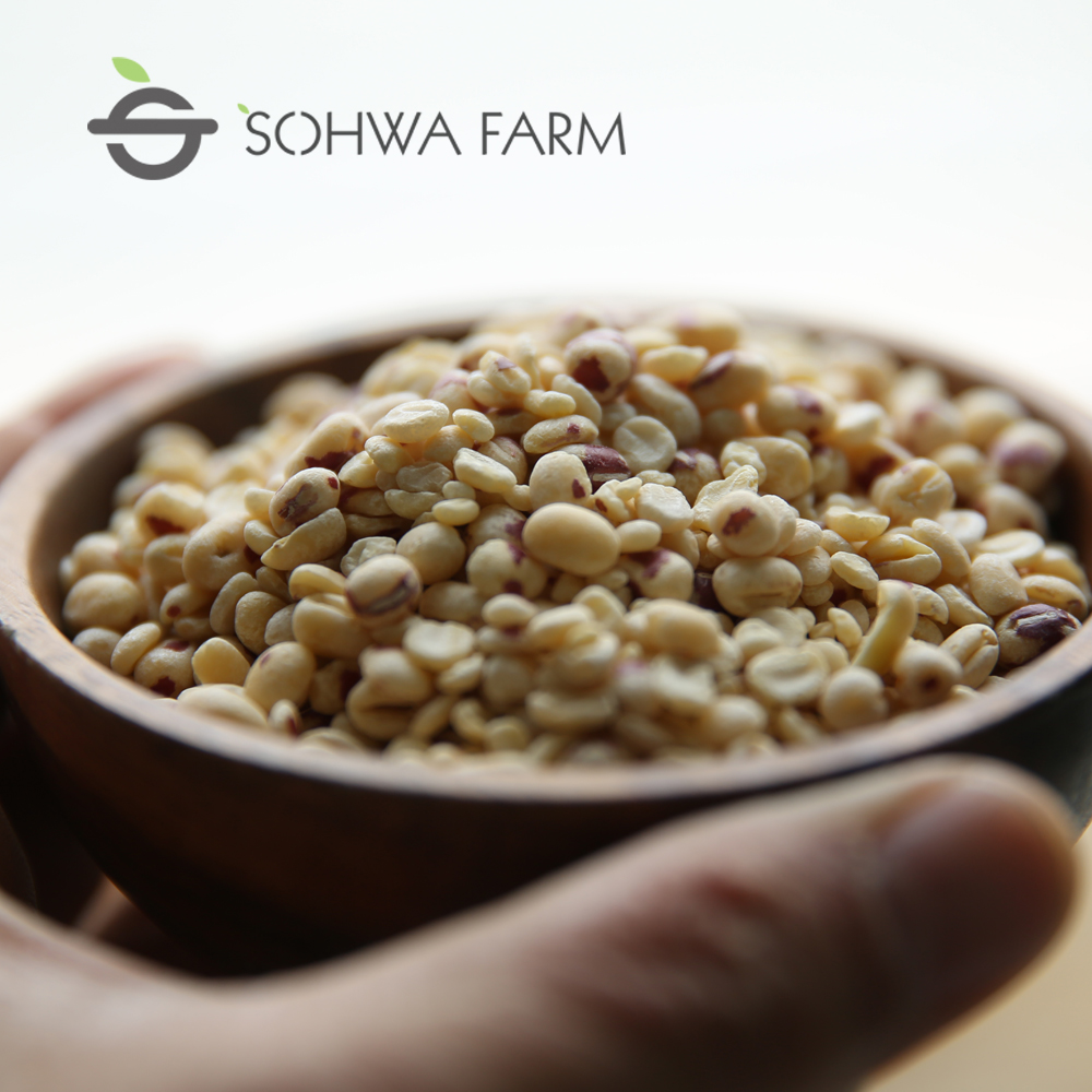 2025년 거피 팥 1kg 깐팥 거피팥 - 상품 이미지