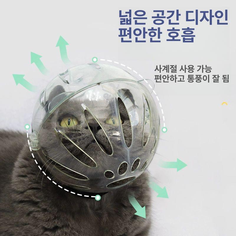 할킴 방지 고양이 발톱깎이 헬멧 미용 보호 소형 2.5-4.5kg 범용 - 상세 이미지 3