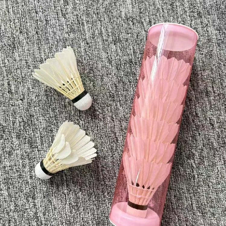 셔틀콕 케이스 배드민턴 거치대 디스펜서 정리 보관함 투명 - 상품 이미지