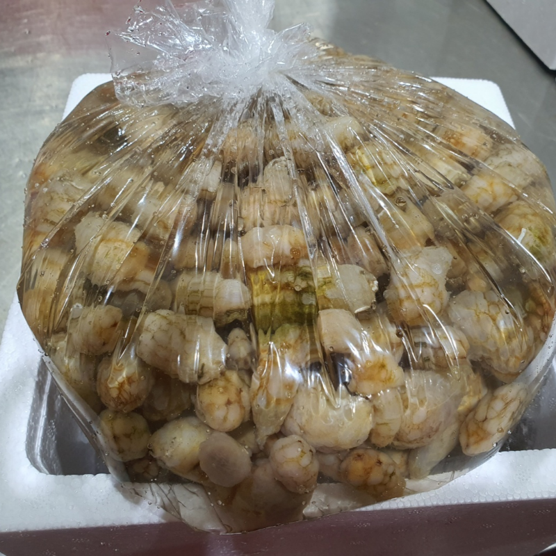 자연가득 바다향이 오독오독 통통 오만둥이 1kg 150-170미 내외 - 상세 이미지 3