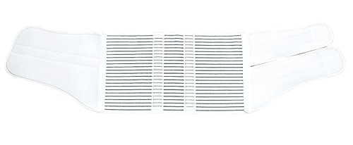 알케어 사크로픽스 요부 고정대 10661 LL