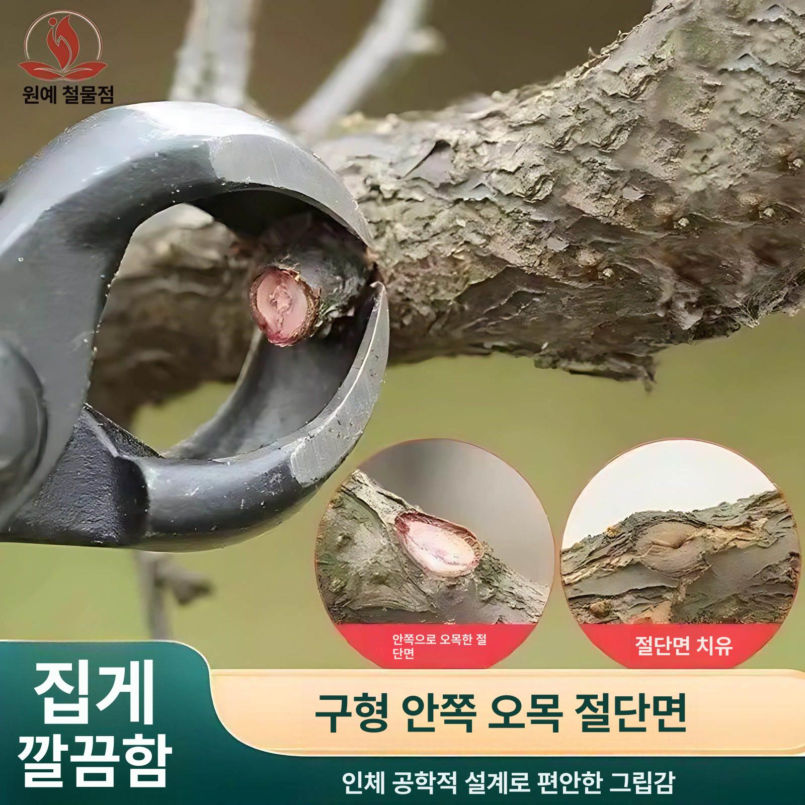 분재가위 밑둥 혹가위 가지치기 원예 뿌리 딩무 조경 잎과 새싹 가위 - 상세 이미지 3