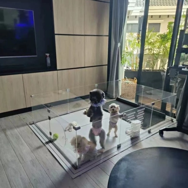 프리미엄 아크릴 펜스 대형 반려견 격리 안전문 접이식 고양이 5mm 두께 길이 x 48 높이 4장 5mm 두께 길이 x 48 높이 4장 - 상세 이미지 5
