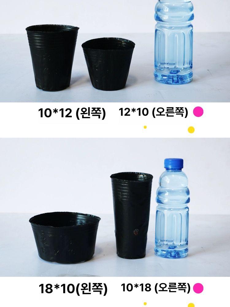 플라스틱 비닐화분 사각 분갈이 묘목포트 비닐 5000개 모델 옥상정원 이쁜화분 가드닝용품 - 상세 이미지 4