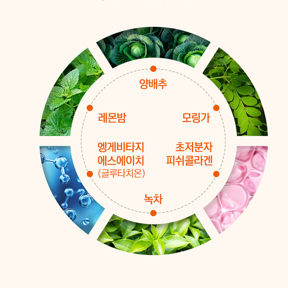 파인애플 효소 브로멜라인 퀘르세틴 정 브로멜라인 파파인 효소 단백질분해 케르세틴 60정 이미지 6