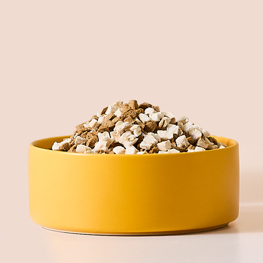 펫러닝 국내산 더프로젝트 강아지 동결건조 동결건조사료 연어, 1.2kg, 1개 - 상세 이미지 3