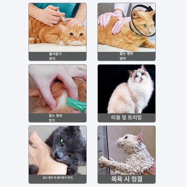 안전 헬멧 강아지용 XXL 10.0 ~ 15.0kg 물림방지 보호대 투명 볼 스카이블루 애견 머리보호구 스카이블루 S 2개월이하고양이및강아지용 - 상세 이미지 4