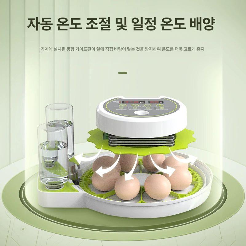 앵무새 알 인큐베이터 소형 자동 스마트 부화기 가정용 - 상세 이미지 3