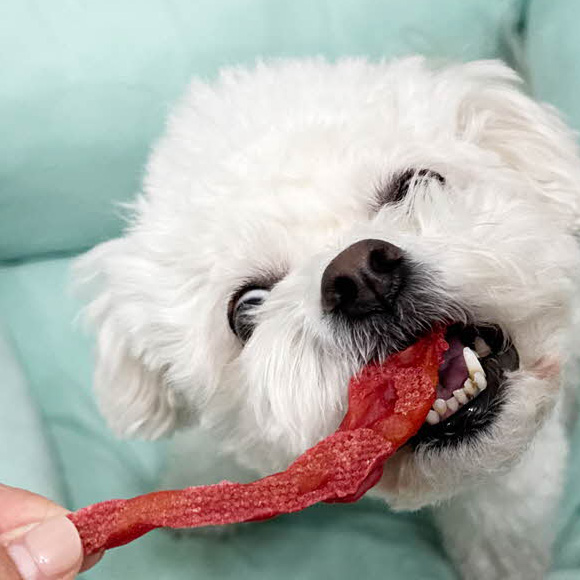 펫어스 고기구마 강아지고구마 강아지닭가슴살 대용량간식 연어+고구마, 600g, 1개 - 상세 이미지 2