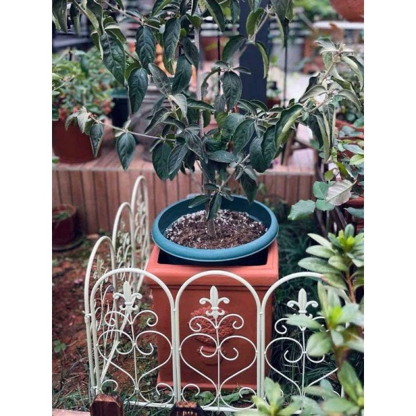매력적인 빈티지 정원 철제 화단 미니 울타리 조경 꾸미기 화이트 단일패널 길이 57cm x 높이 50cm 화이트 단일패널 길이 57cm x 높이 50cm - 상세 이미지 5