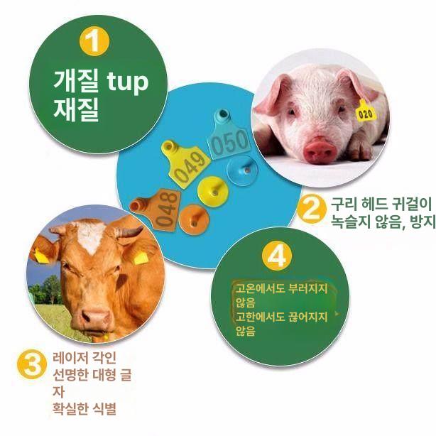 귀표 소 돼지 펜치 인식표 축산용 이표 귀표 클립 귀표바늘2개포함 - 상세 이미지 4