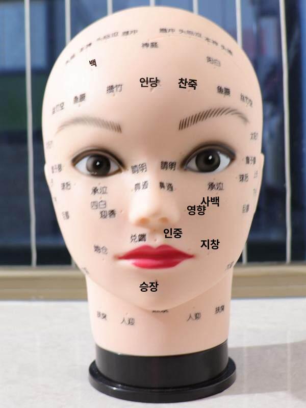 헤드 마사지 연습용 소프트 모델 얼굴 세안 경혈 연습 - 상품 이미지