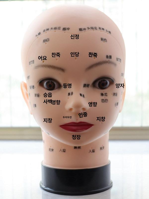 얼굴 경혈 마사지 연습용 소프트 헤드 모델 - 상세 이미지 3