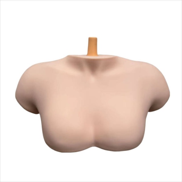 전문가용 어깨 거치대 가발 미용 실습 머리 스탠다드 숄더 프레임 샴페인 스탠다드 숄더 프레임 샴페인 - 상세 이미지 2