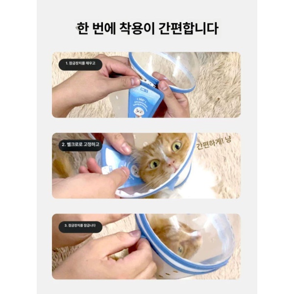 프리미엄 안전 강아지 헬멧 보호구 모자 노견 시각장애견 S 1.0kg 이하 새끼 고양이 손톱깎이 고양이 강아지 - 상세 이미지 4