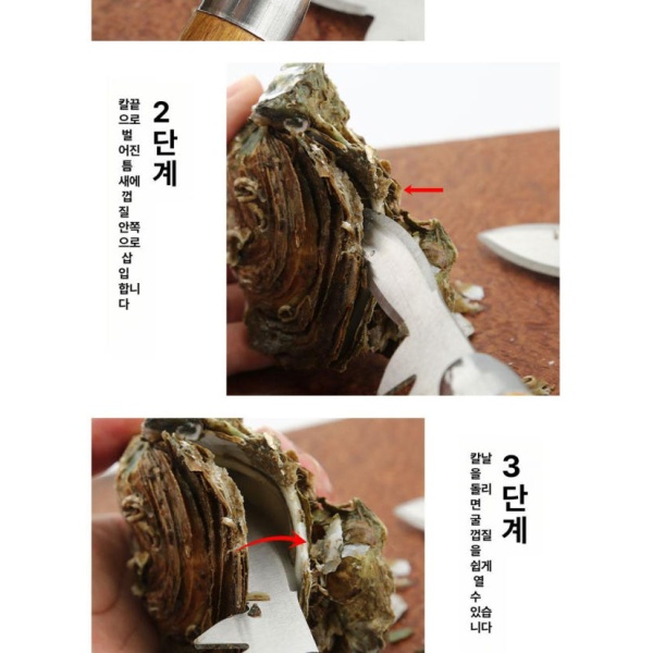 프리미엄 조개따개 석화 해산물 가리비 꼬막 화이트 60도 미만 10cm 화이트 60도 미만 10cm - 상세 이미지 5