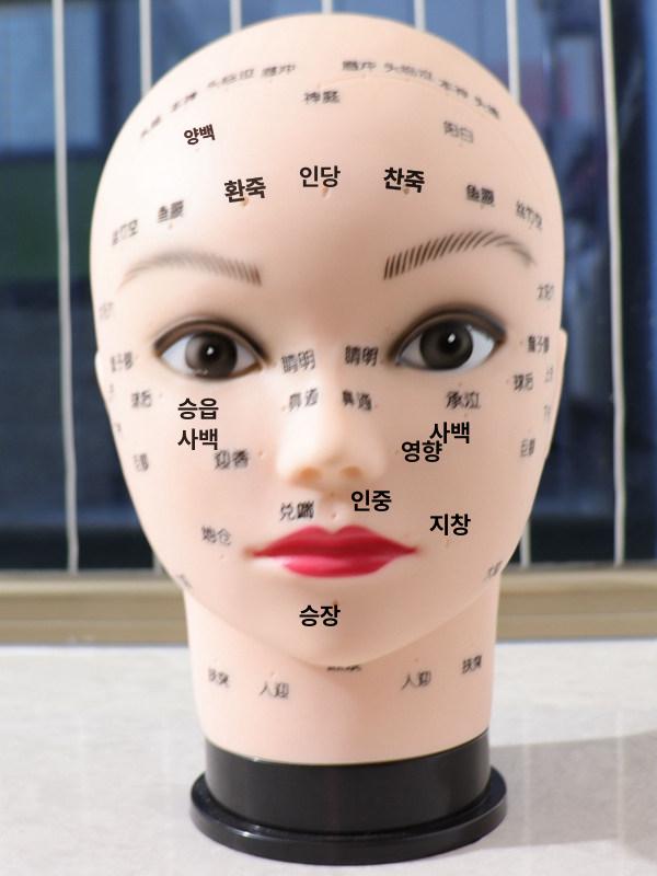 얼굴 경혈 마사지 연습용 소프트 헤드 모델 - 상세 이미지 4