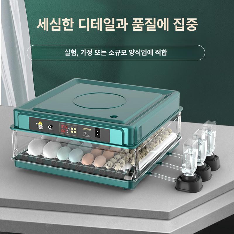 소형 자동 인큐베이터 가정용 닭 오리 거위 알 부화기 - 상세 이미지 2