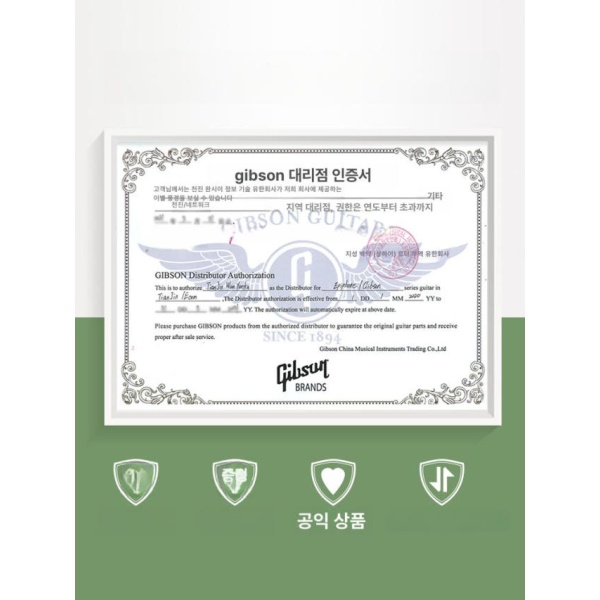 프리미엄 세미할로우 기타 일렉기타 41인치 포크 체리 하드케이스 피규어 버스트 AG 라이트 케이스 ASGIBFV 플라잉 V 전기 - 상세 이미지 3