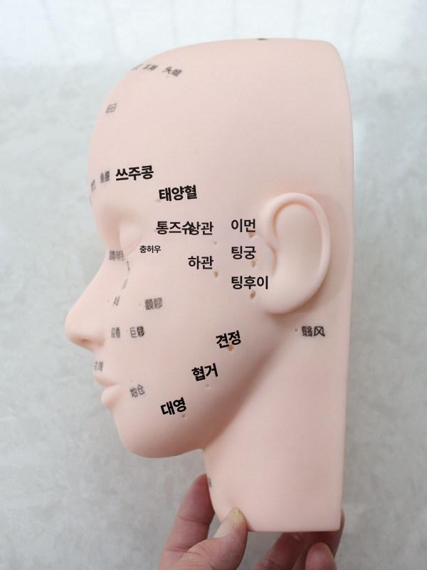 얼굴 경혈 마사지 연습용 소프트 헤드 모델 - 상품 이미지