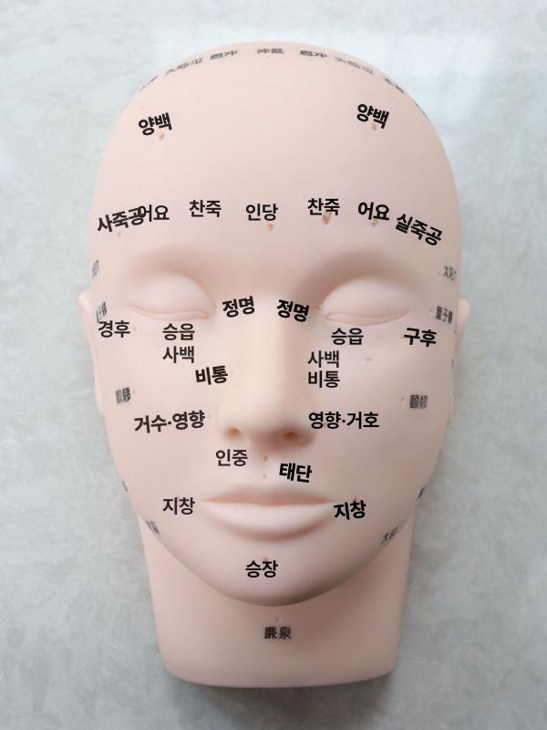얼굴 경혈 마사지 연습용 소프트 헤드 모델 - 상세 이미지 5