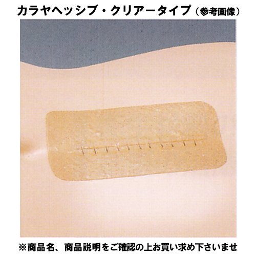 알케어 카라야헤시브