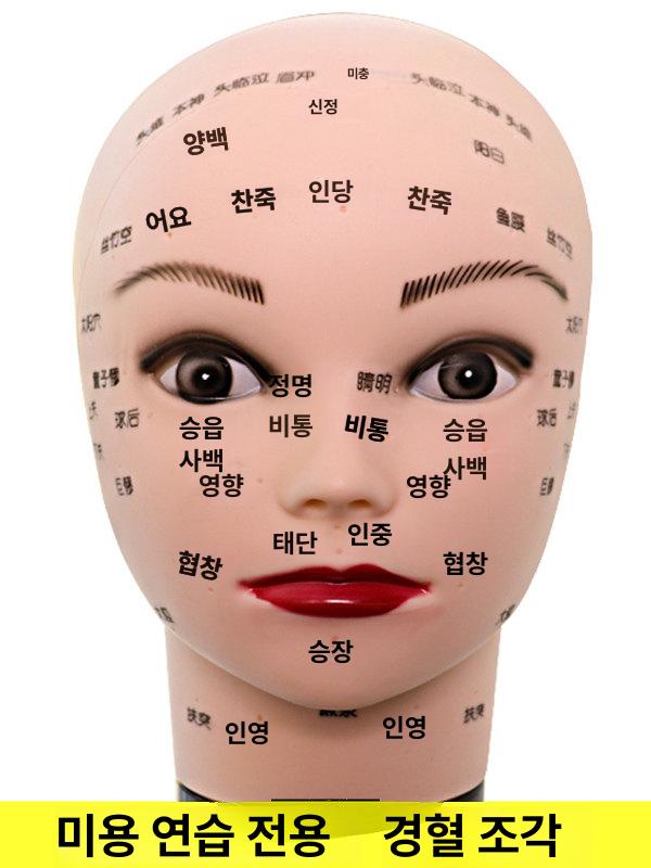 헤드 마사지 연습용 소프트 모델 얼굴 세안 경혈 연습 - 상세 이미지 2