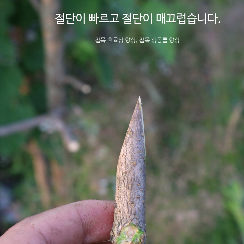 원예용 과일나무 접목기 수동 접목가위 가지 전정 작업 농가 도구 - 상세 이미지 4