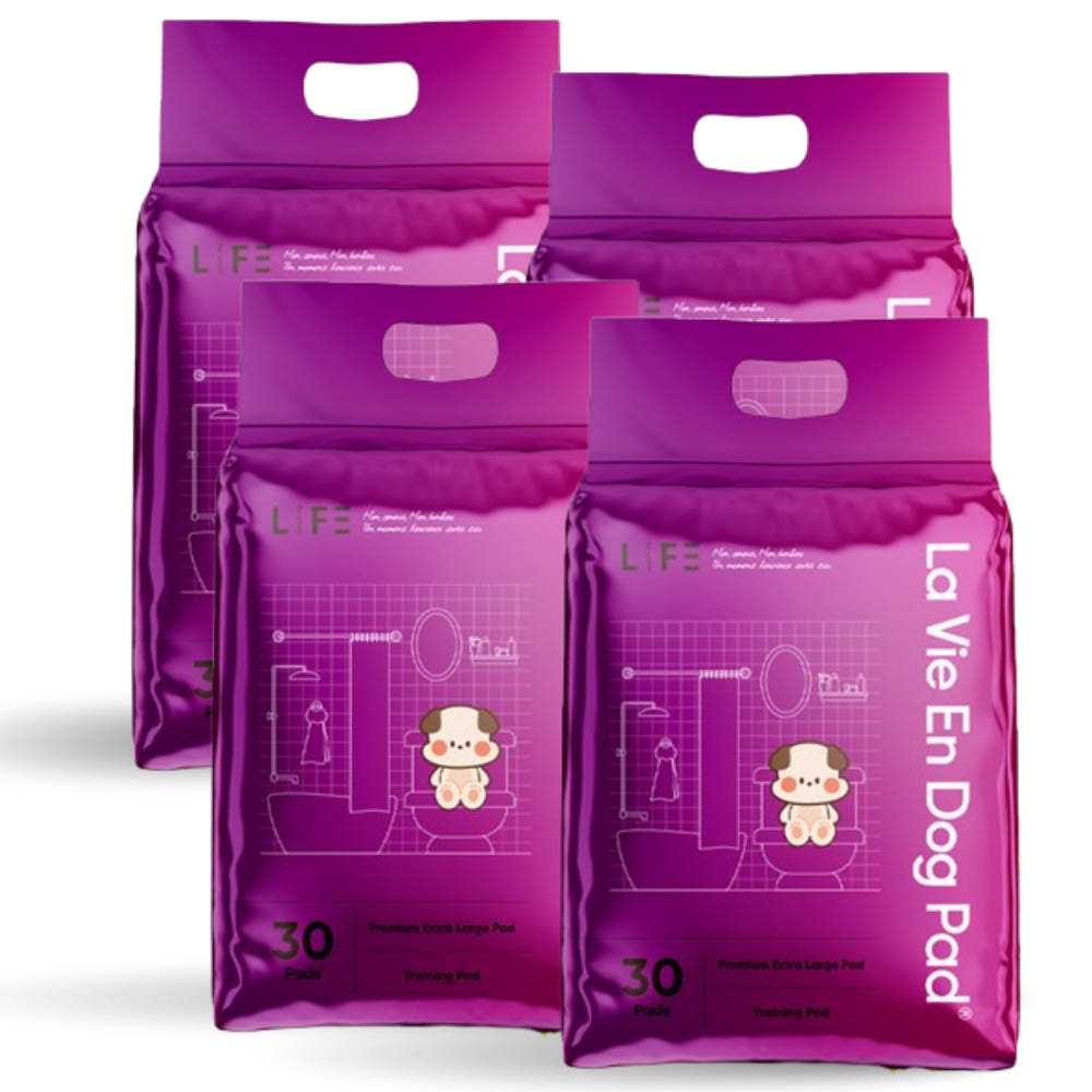 라비앙독 초대형