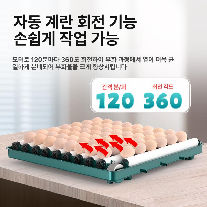 병아리 부화기 자동 계란부화기 오리 조류 알 인큐베이터 키우기 - 상세 이미지 4