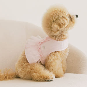 강아지 하네스 옷 소형견 애견 루나프릴 하네스 솔직 후기 | 실제 사용자 리뷰 총정리 - 상품 이미지 4