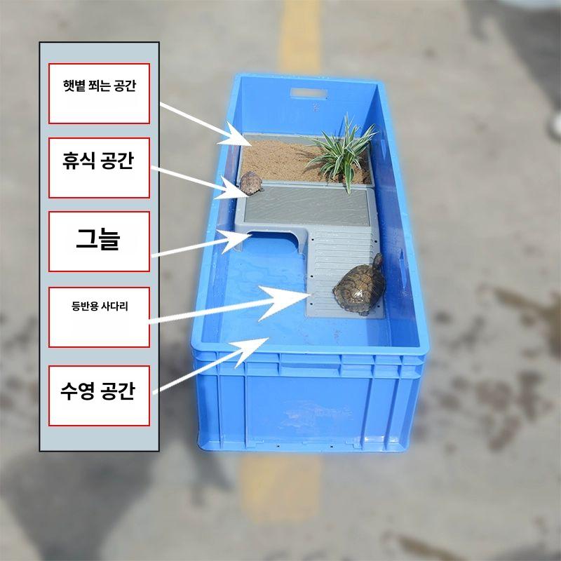 거북이 어항 수조 수족관 반수생 대형 회색 키우기 그레이 120x40x23cm - 상세 이미지 4