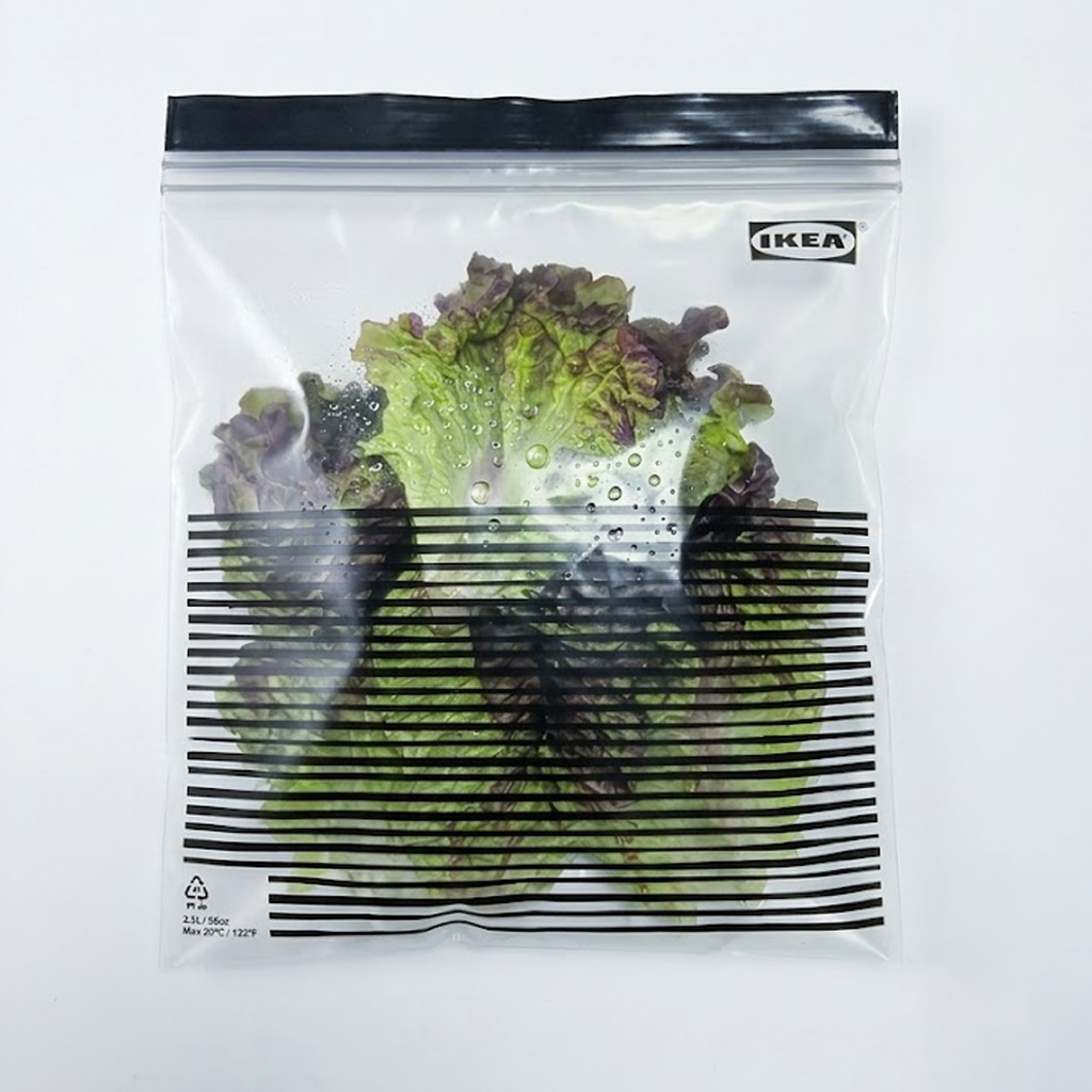 김채소 산지직송 국내산 꽃상추 적상추 500g, 1개 - 상세 이미지 2