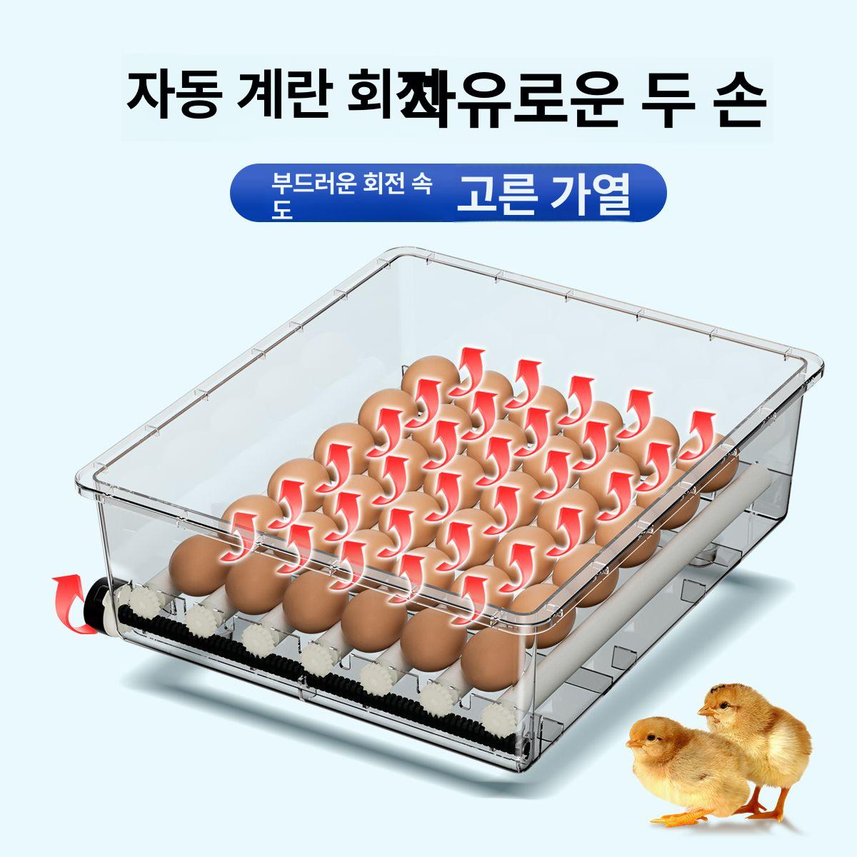 병아리부화기 오리 닭 가정용 거위알 유정란 조류 - 상세 이미지 4