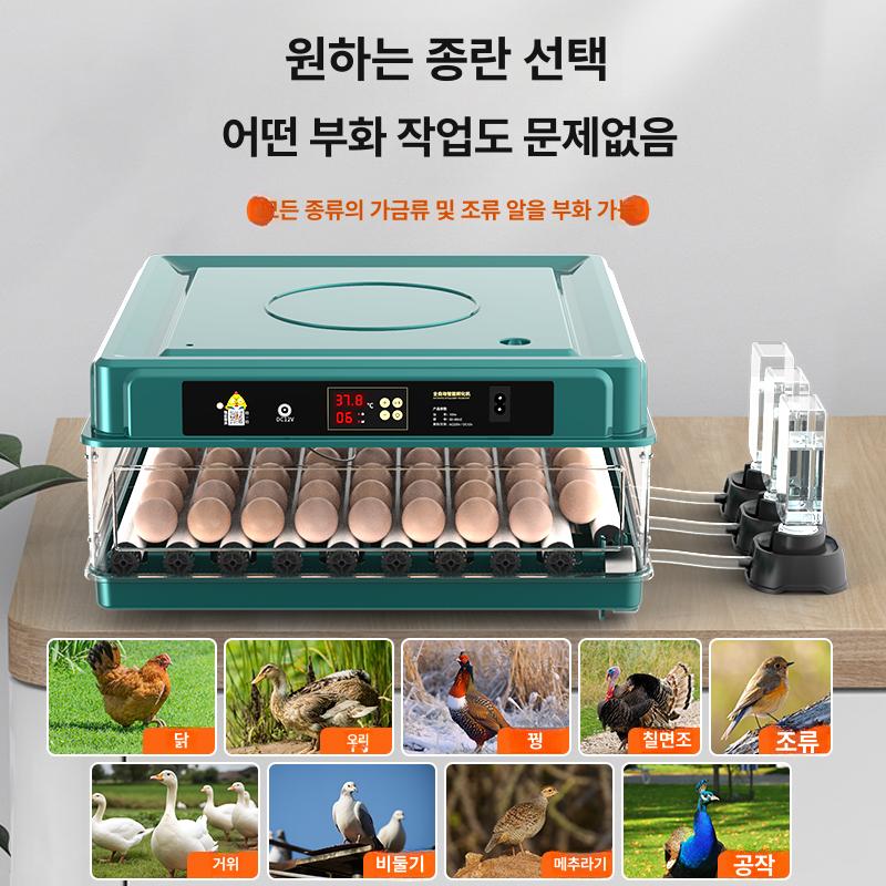병아리 부화기 자동 계란부화기 오리 조류 알 인큐베이터 키우기 - 상세 이미지 5
