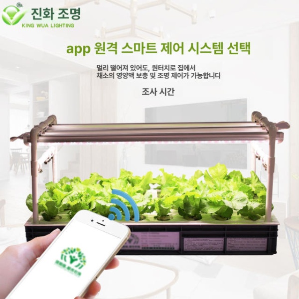 프리미엄 스마트 가정용 베란다 실내 타워형 수경 재배기 원격 대형 기계식 타이머 기계식 스마트 타이머 - 상세 이미지 3